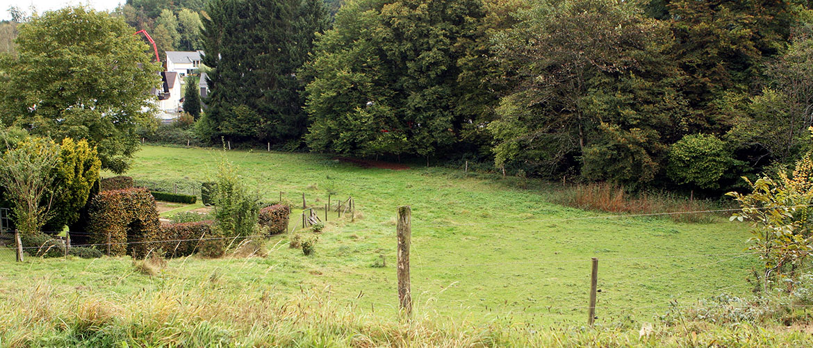 Auf Der Grünen Wiese Hinterm Haus